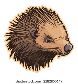 Porcupine Flat Icon Isolated On White Background