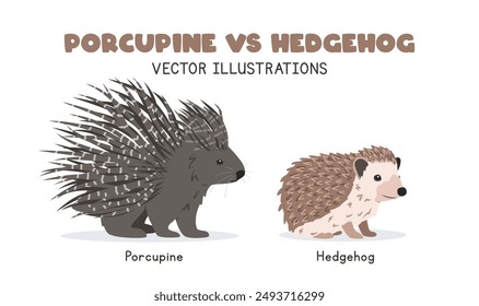 Porcupine and hedgehog comparison vector illustrations. Prickly porcupine vs hedgehog with sharp bristles cartoon clipart set in flat style. Wild animals concept