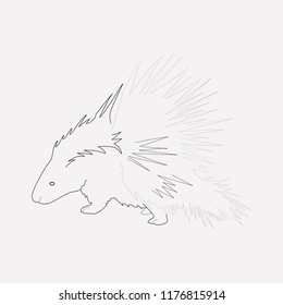 Porcupine icon line element. Vector illustration of porcupine icon line isolated on clean background for your web mobile app logo design.