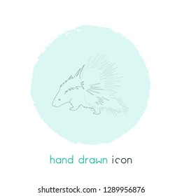 Porcupine icon line element. Vector illustration of porcupine icon line isolated on clean background for your web mobile app logo design.
