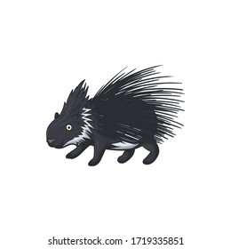 Porcupine large rodent with defensive spines or quills on body and tail isolated animal in cartoon style. Vector hedgehog in black and white, North American porcupine with sharp needles