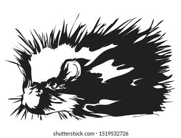 porcupine outline isolated on a white background