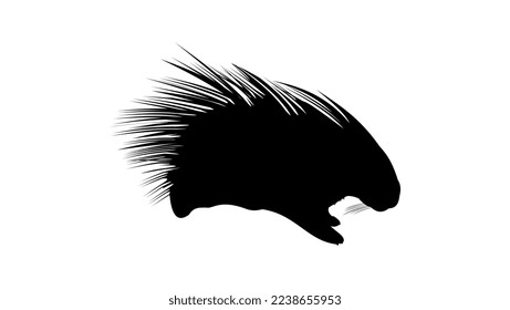 porcupine silhouette high quality vector