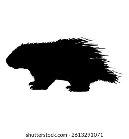 Porcupine silhouette icon vector flat design on white background.