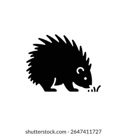 Porcupine Sniffing Ground Animais Selvagens Investigando o Habitat Natural