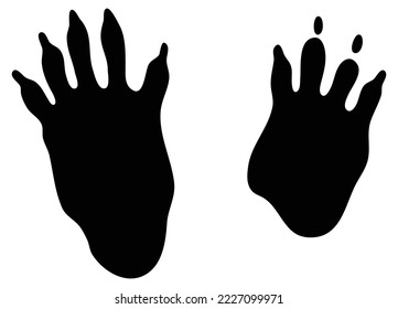 Porcupine track Footprint. Black Silhouette Design. Vector Illustration.