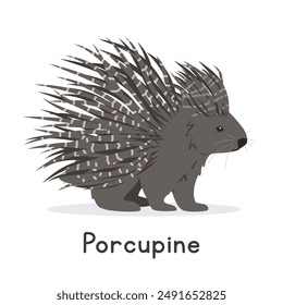 Porcupine vector illustration, cartoon clipart character, animal in flat style. Wild animals, wild creatures, wildlife concept. Cute porcupine vector design isolated on white background