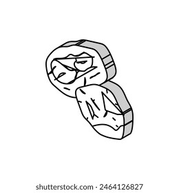 poria cocos mushroom isometric icon vector. poria cocos mushroom sign. isolated symbol illustration