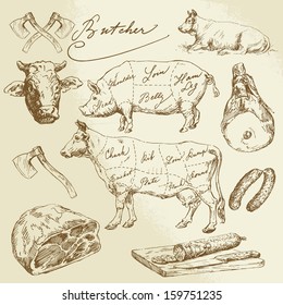 Pork And Beef Cuts - Hand Drawn Set