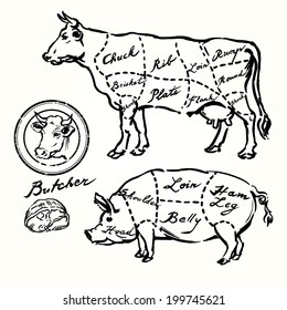 pork and beef cuts - hand drawn set