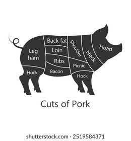 Pork butchery diagram. Cuts of Pork. Perfect for restaurant menus and educational materials. Vector Illustration