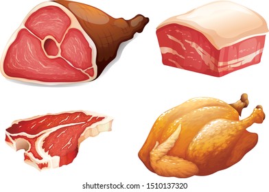 Pork, Chicken steak different kind of meat vector Illustration isolated on White Background