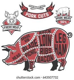 Pork cuts butcher diagram. Cow illustrations on white background. Design elements for poster, menu. Vector illustration