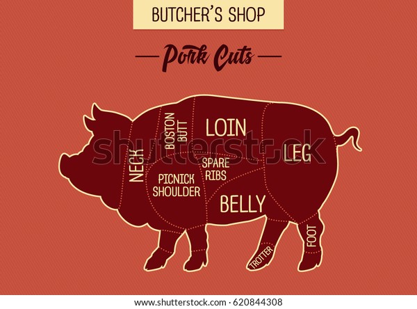 Pork cuts chart for\
butcher\'s shop or cook book. Meat buyer\'s guide with pig silhouette\
divided into parts for cooking. Pig side view. Cuts of pork meat\
graphic scheme.