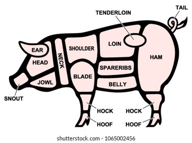 Pork cuts diagram