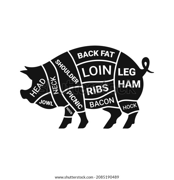 Pork Cuts Diagram Butcher Shop Isolated Stock Vector (Royalty Free ...