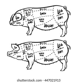 Pork cuts diagram and butchery set. Hand drawn pig isolated on white background. Drawing Vector illustration.