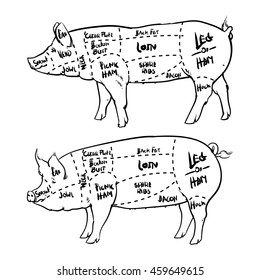 Pork Cuts Diagram Outline Butchery Set Stock Vector (Royalty Free ...
