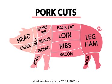 Pork cuts meat with labels in flat design on white background. Butcher shop.