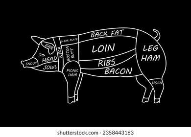 Pork divided into pieces with the name of its body parts for butchers. A guide for meat buyers. Vectok stock illustration. Pig. isolated. hand drawn. Black background