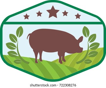 Pork farming