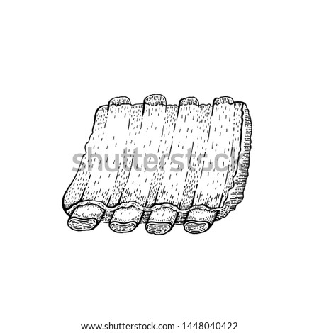 Pork grilled ribs. Barbeque meat steak sketch icon. Cut roasted rib hand drawing. Cut of beef, pork or lamb on the bone. Ink line black icon. Vintage vector illustration isolated on white background