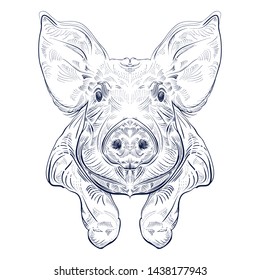 Pork. Hand drawn engraving. Vector vintage illustration