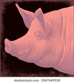 Pork head. Hand drawn engraving. Vector vintage illustration. Isolated on black background. 8 EPS