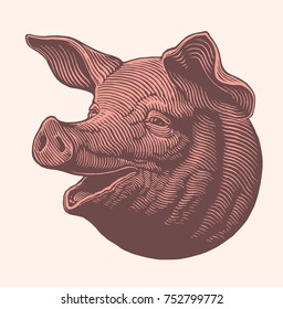 Pork head. Hand drawn engraving. Vector vintage illustration. Isolated on light background. 8 EPS