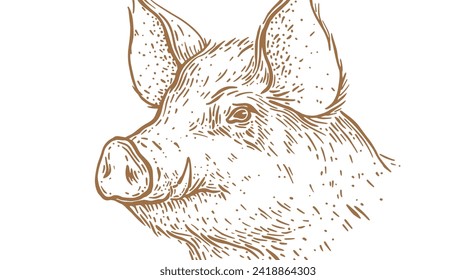 Cerdo, cabeza de cerdo. Impresión retro vintage, dibujo a lápiz de tinta de sketch de cerdo blanco negro, engrase la vieja escuela. Esbozar el cochecito de la silueta de la obra de arte, fondo blanco. Perfil de vista lateral. Ilustración vectorial