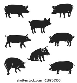 Schweinekoteletts. Vektorbild, Schwein-Silhouette, in Curl-Nagelposition, einzeln auf weißem Hintergrund.