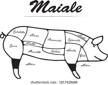 Pork infographic bbq pub meat