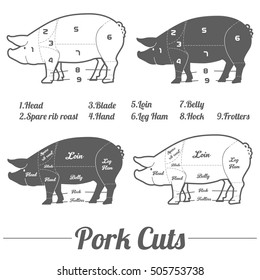Pork meat cuts, butcher pork infographic set of meat parts, vector illustration