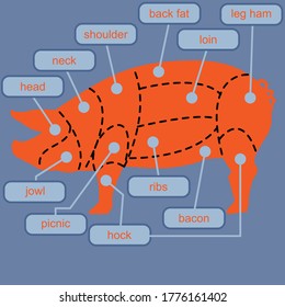 Pork meat cuts diagram chart