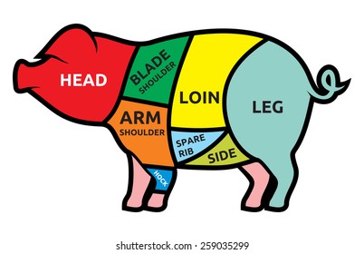 Pork meat cuts vector illustration
