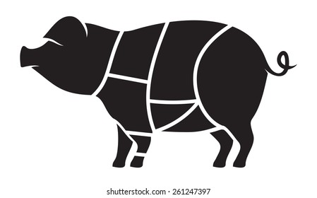 Pork meat cuts vector illustration