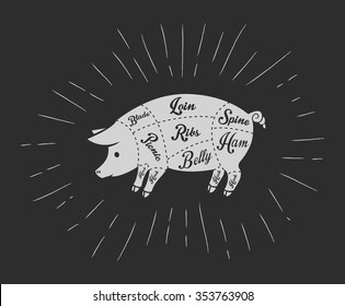 Pork meat cuts in vintage blackboard style