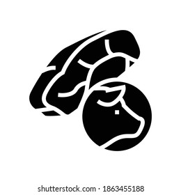 pork meat glyph icon vector. pork meat sign. isolated contour symbol black illustration