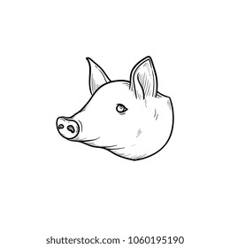 Pork meat hand drawn outline doodle icon. Pig snout vector sketch illustration for print, web, mobile and infographics isolated on white background.