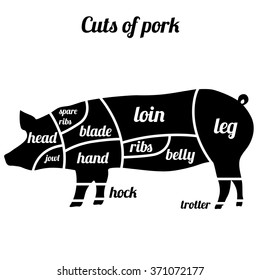 Pork meat or pig cuts vector illustration.