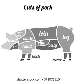 Pork meat or pig cuts vector illustration.