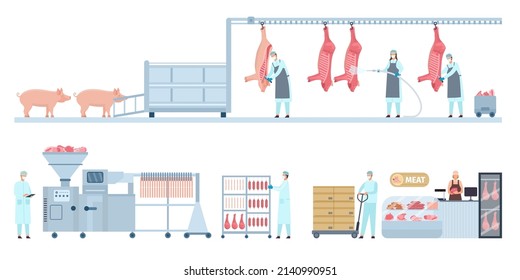 Pork meat production conveyor from farm pig to butcher shop. Butchery manufacture process stage. Sausage product industry vector infographic. Workers making food and distributing to shop