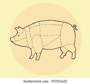 Pork menu on color background. Scheme of pork. Butcher guide. Hand drawn vector illustration.