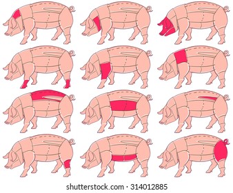 Pork or pig cuts