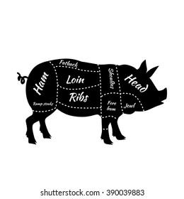 Pork or pig cuts. American US cuts of pork. Barbecue vector illustration. Pork meat cuts. Butcher pork cuts diagram. Butchers selection. Butcher shop