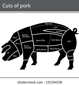 Pork or pig cuts in vector