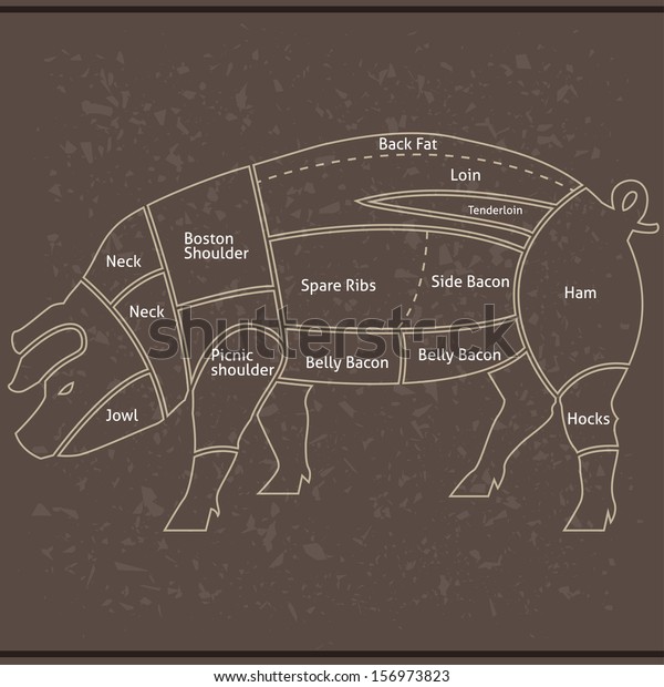 Pork or pig cuts in\
vector