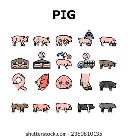 pork pig farm animal piglet hog icons set vector. swine livestock, domestic bacon, cute hand boar, agriculture little, happy vintage pork pig farm animal piglet hog color line illustrations