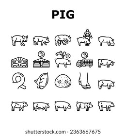 pork pig farm animal piglet hog icons set vector. swine livestock, domestic bacon, cute hand boar, agriculture little, happy vintage pork pig farm animal piglet hog black contour illustrations