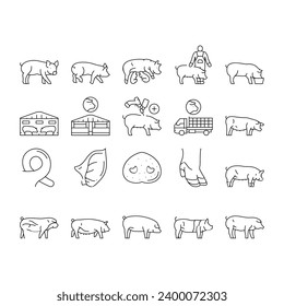 pork pig farm animal piglet hog icons set vector. swine livestock, domestic bacon, cute hand boar, agriculture little, happy vintage pork pig farm animal piglet hog black contour illustrations